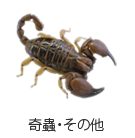 奇蟲・その他